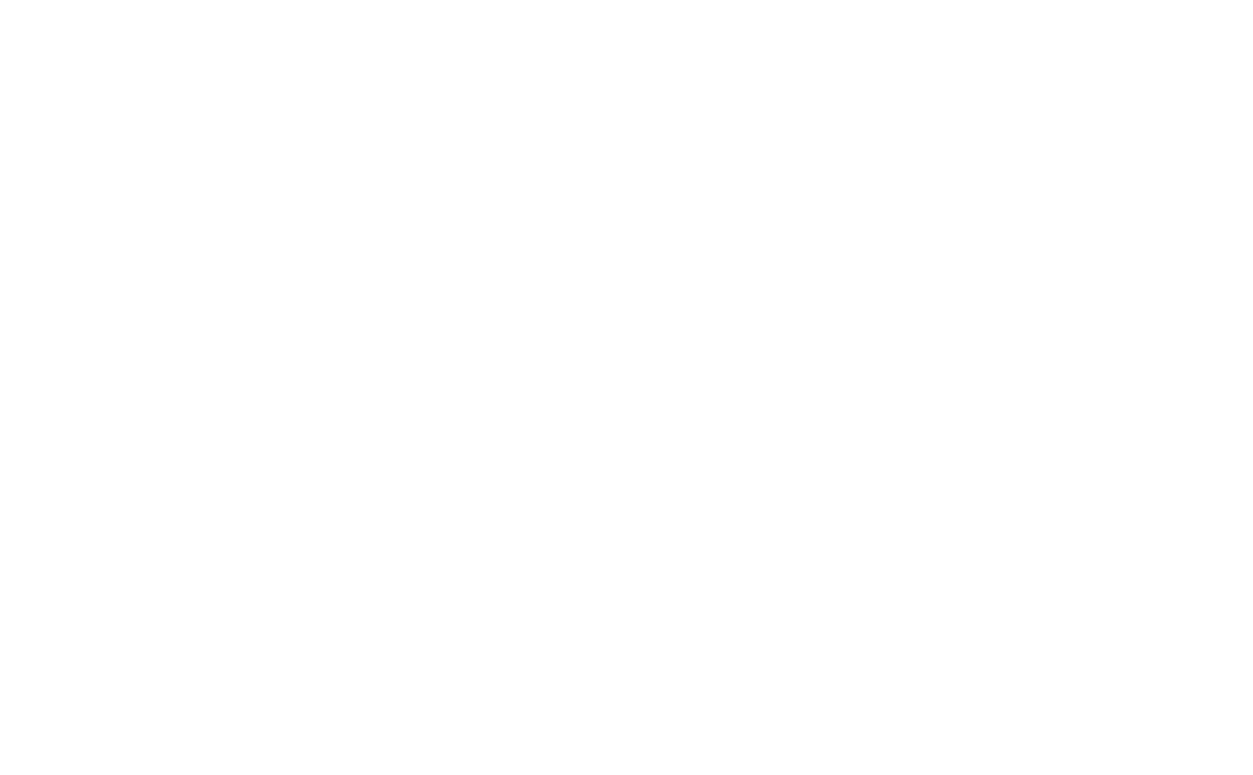 Die Fibunachi Spirale, goldener Schnitt