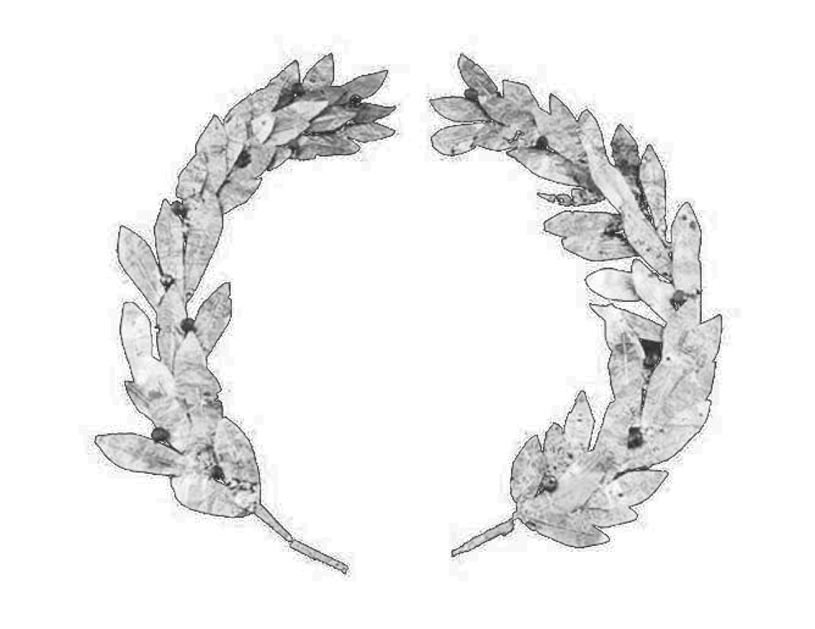 Lorbeerkranz